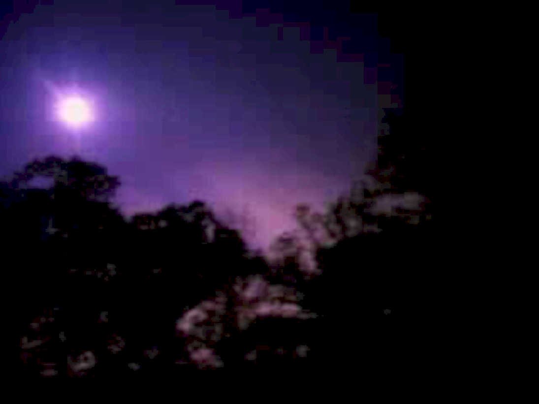 full moon trees1980s 1990s A4 Photo Print