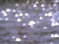 fungal spores cluster1980s 1990s A4 Photo Print