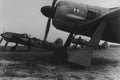 fw 190 aircraft 1 Vintage world war A4 Photo Print