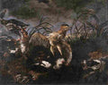 fyt Bittern and Ducks Startled by Dogs Art A4 Photo Print