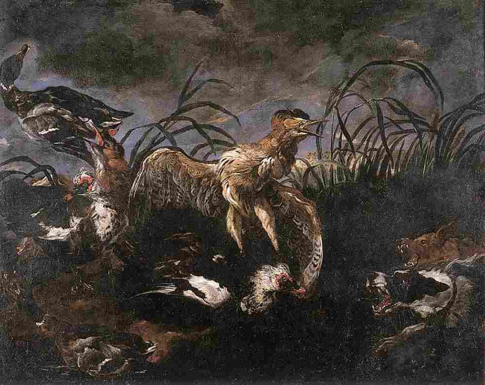 fyt Bittern and Ducks Startled by Dogs Art A4 Photo Print
