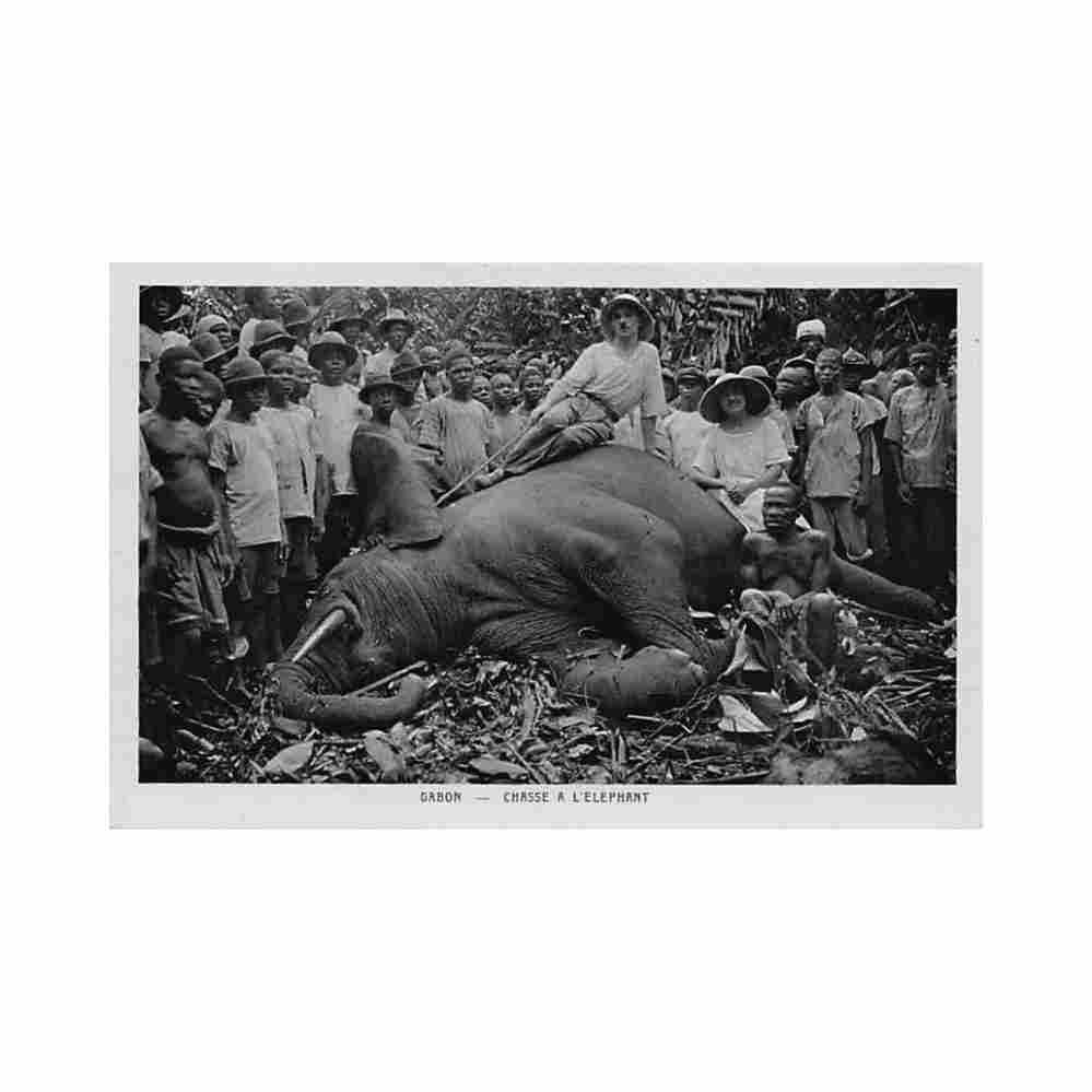 gabon chasse a l elephant ed societe des missions etrangeres Vintage A4 Photo Print