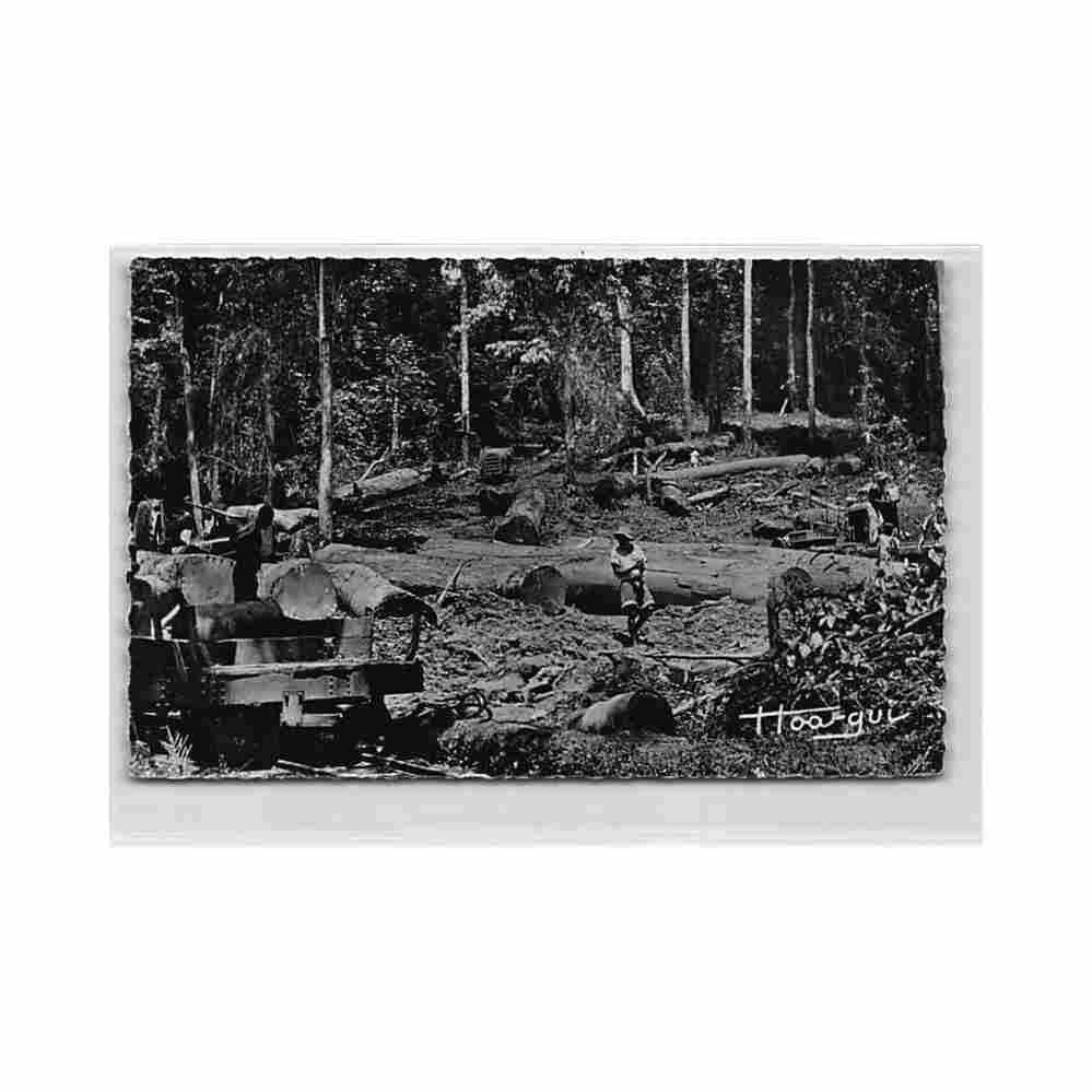 gabon exploitation forestiere ed v simarro 779 Vintage A4 Photo Print