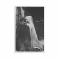 gabon first communicant spiritus 24 gabon premiere communiante ed spiritus 24 Vintage A4 Photo Print