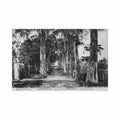 gabon libreville avenue du gouvernement devant le bataillon indigene ed coa 19 Vintage A4 Photo Print