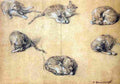 gai Six studies of a cat Art A4 Photo Print