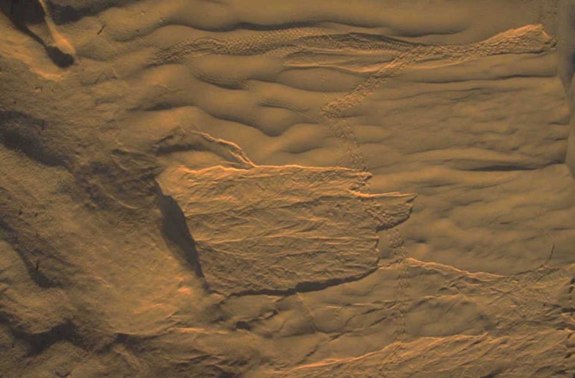 gale crater tracks 1980s 1990s A4 Photo Print
