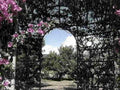 garden archway roses1980s 1990s A4 Photo Print