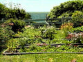 garden beds ocean1980s 1990s A4 Photo Print