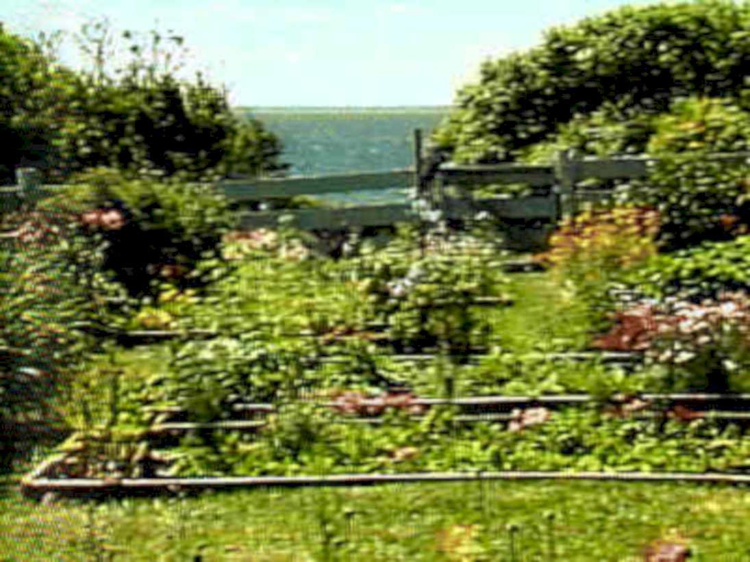 garden beds ocean1980s 1990s A4 Photo Print