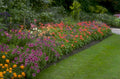 garden border flowers 1980s 1990s A4 Photo Print