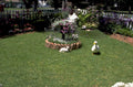 garden duck cat 1980s 1990s A4 Photo Print