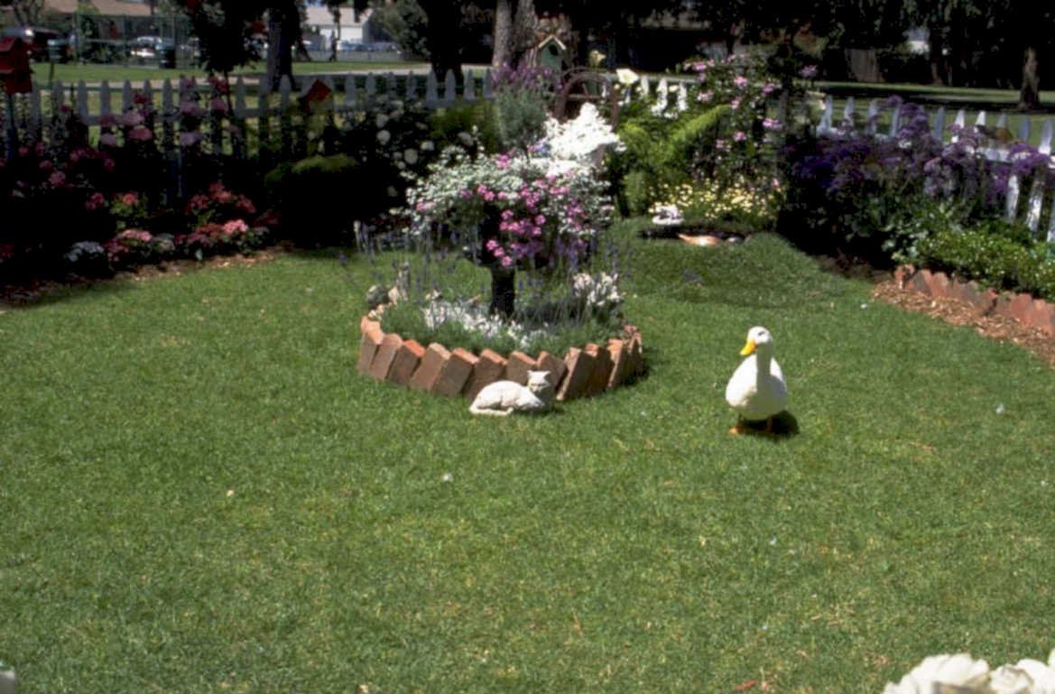 garden duck cat 1980s 1990s A4 Photo Print