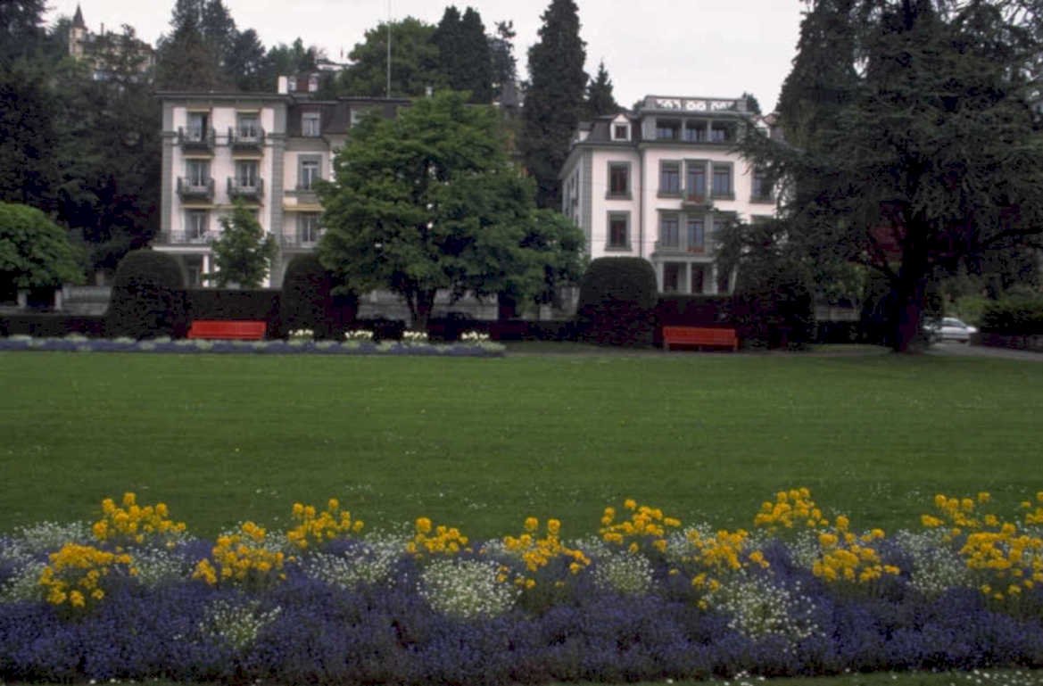 garden flowers building 1980s 1990s A4 Photo Print