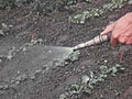 garden hose water1980s 1990s A4 Photo Print