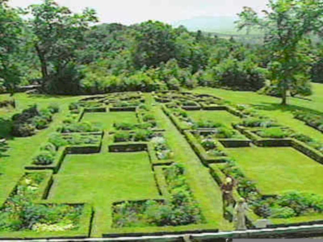 garden maze chatsworth1980s 1990s A4 Photo Print