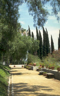 garden path cypress 1980s 1990s A4 Photo Print