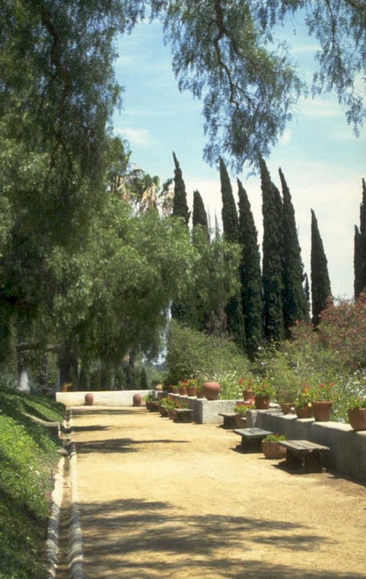 garden path cypress 1980s 1990s A4 Photo Print