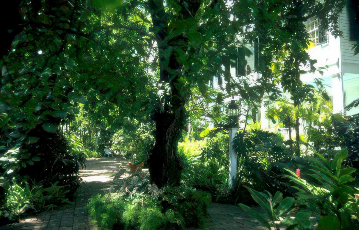 garden path red Vintage A4 Photo Print