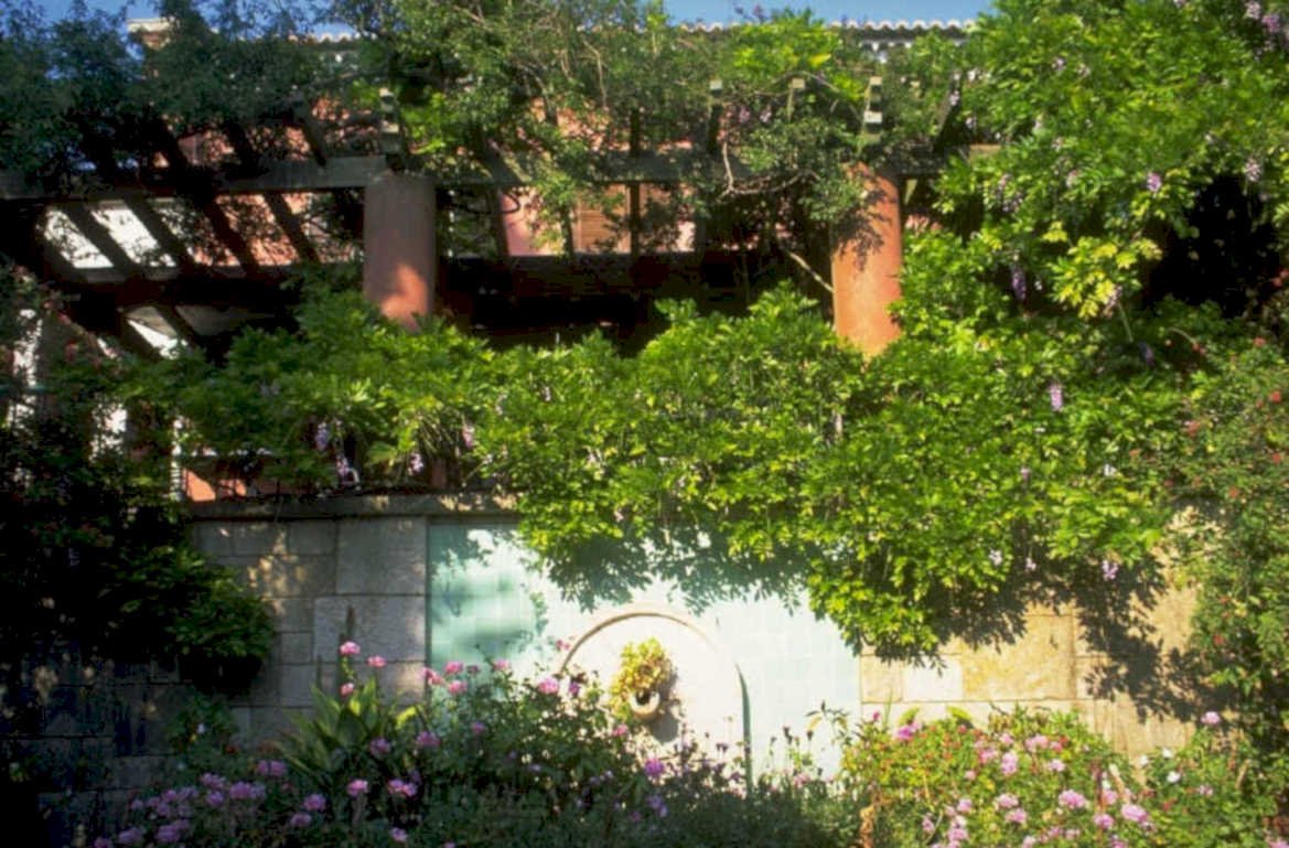 garden pergola vines 1980s 1990s A4 Photo Print