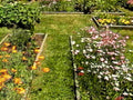 garden plot flowers1980s 1990s A4 Photo Print