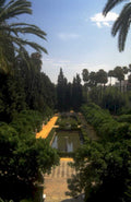 garden pool palms 1980s 1990s A4 Photo Print