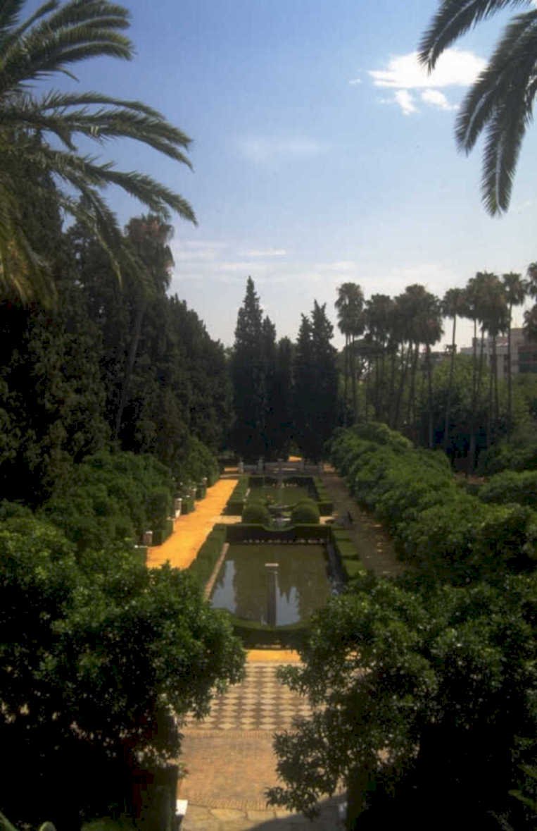 garden pool palms 1980s 1990s A4 Photo Print
