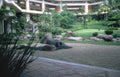 garden waterfall rocks Vintage A4 Photo Print