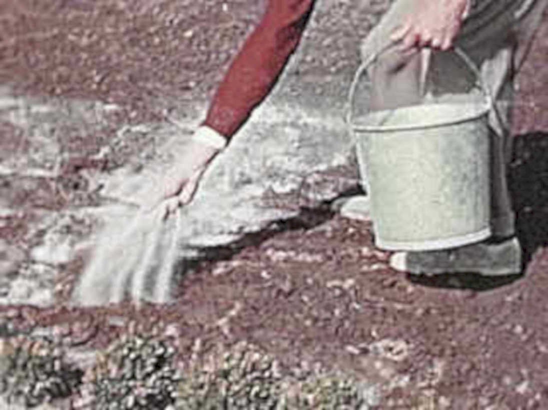 gardening fertilizer soil1980s 1990s A4 Photo Print