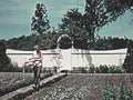 gardening woman estate1980s 1990s A4 Photo Print