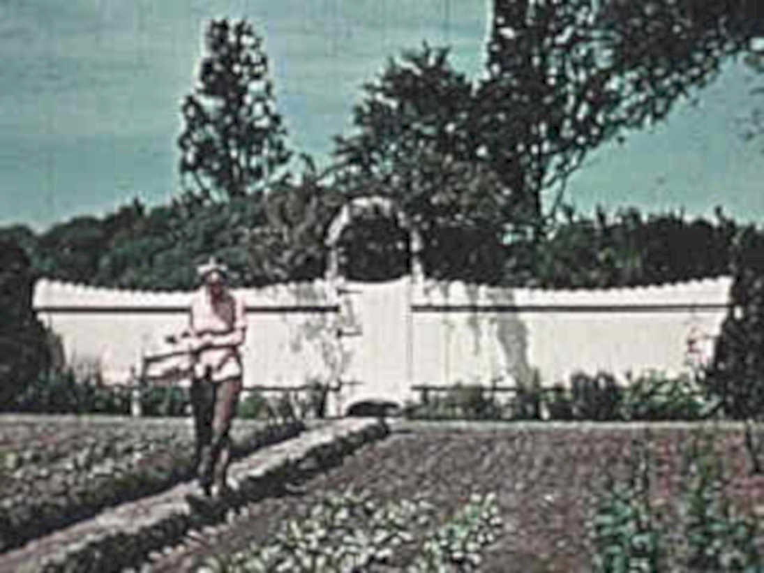 gardening woman estate1980s 1990s A4 Photo Print
