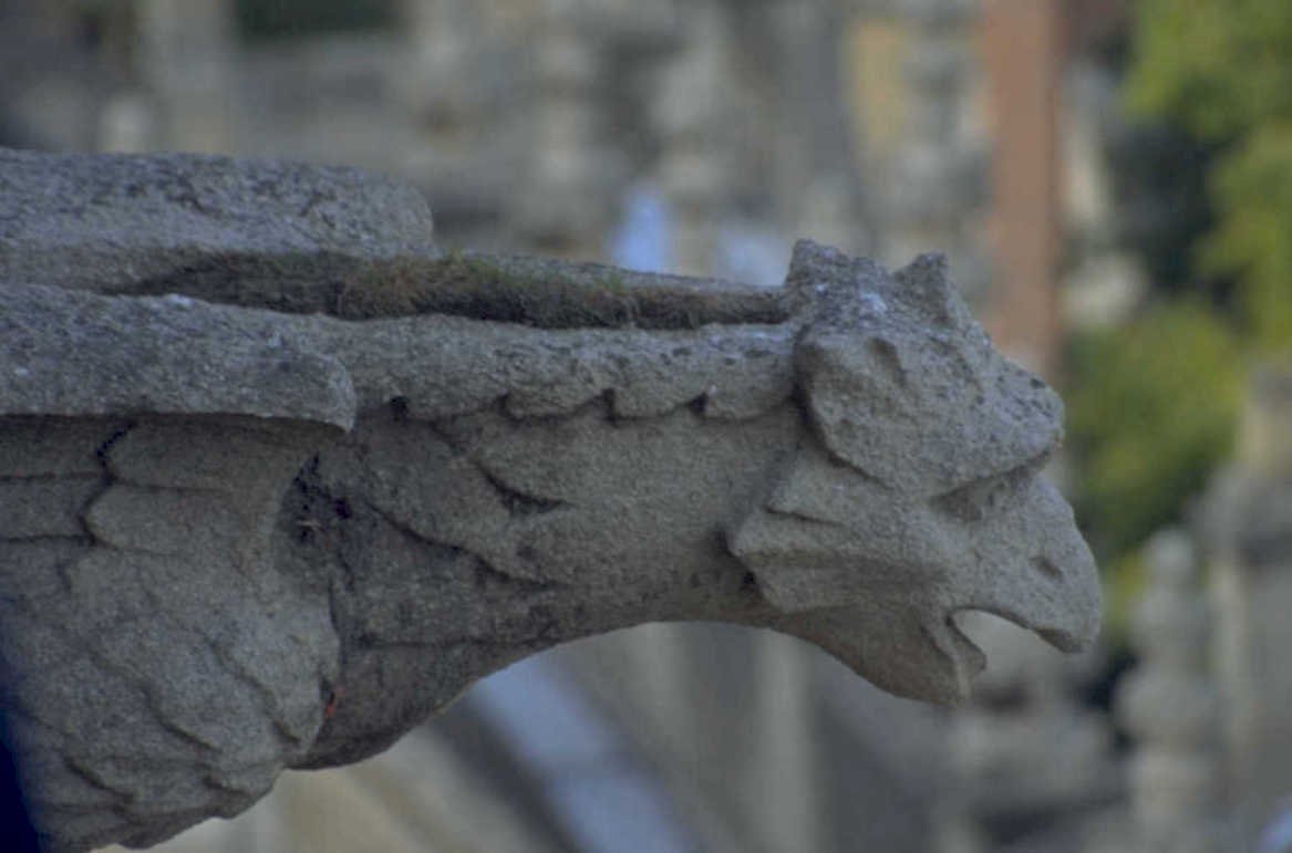 gargoyle detail stone 1980s 1990s A4 Photo Print