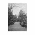 georgia batumi alexander botanical garden messageries maritimes Vintage A4 Photo Print