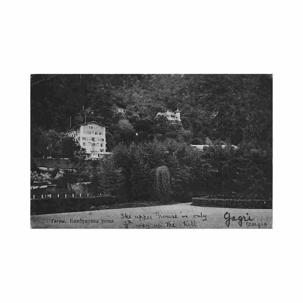 georgia gagra bamboo grove a cemnna Vintage A4 Photo Print