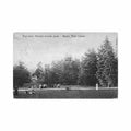 georgia manglisi the glade a ananova Vintage A4 Photo Print