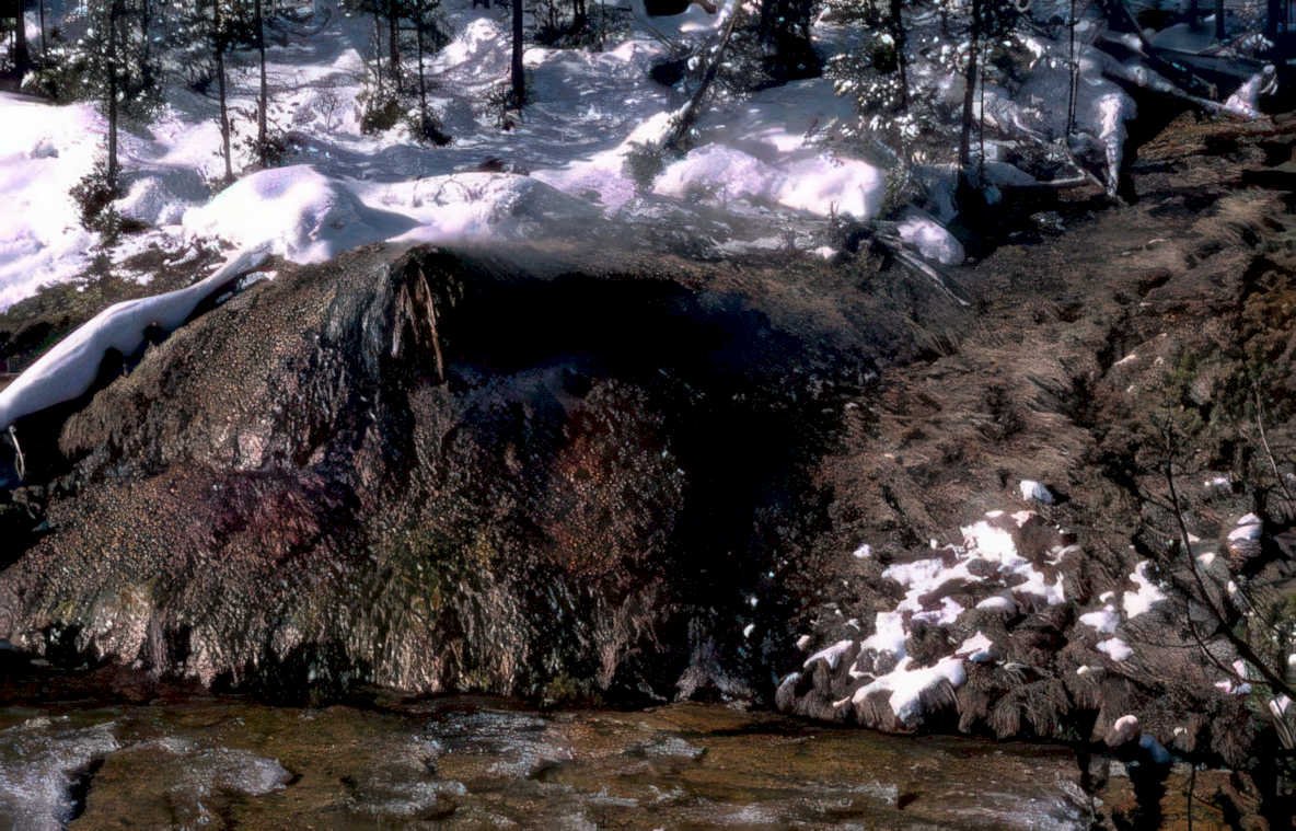 geothermal spring yellowstone Vintage A4 Photo Print