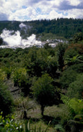geothermal valley nz 1980s 1990s A4 Photo Print