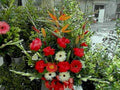 gerbera daisies bouquet1980s 1990s A4 Photo Print