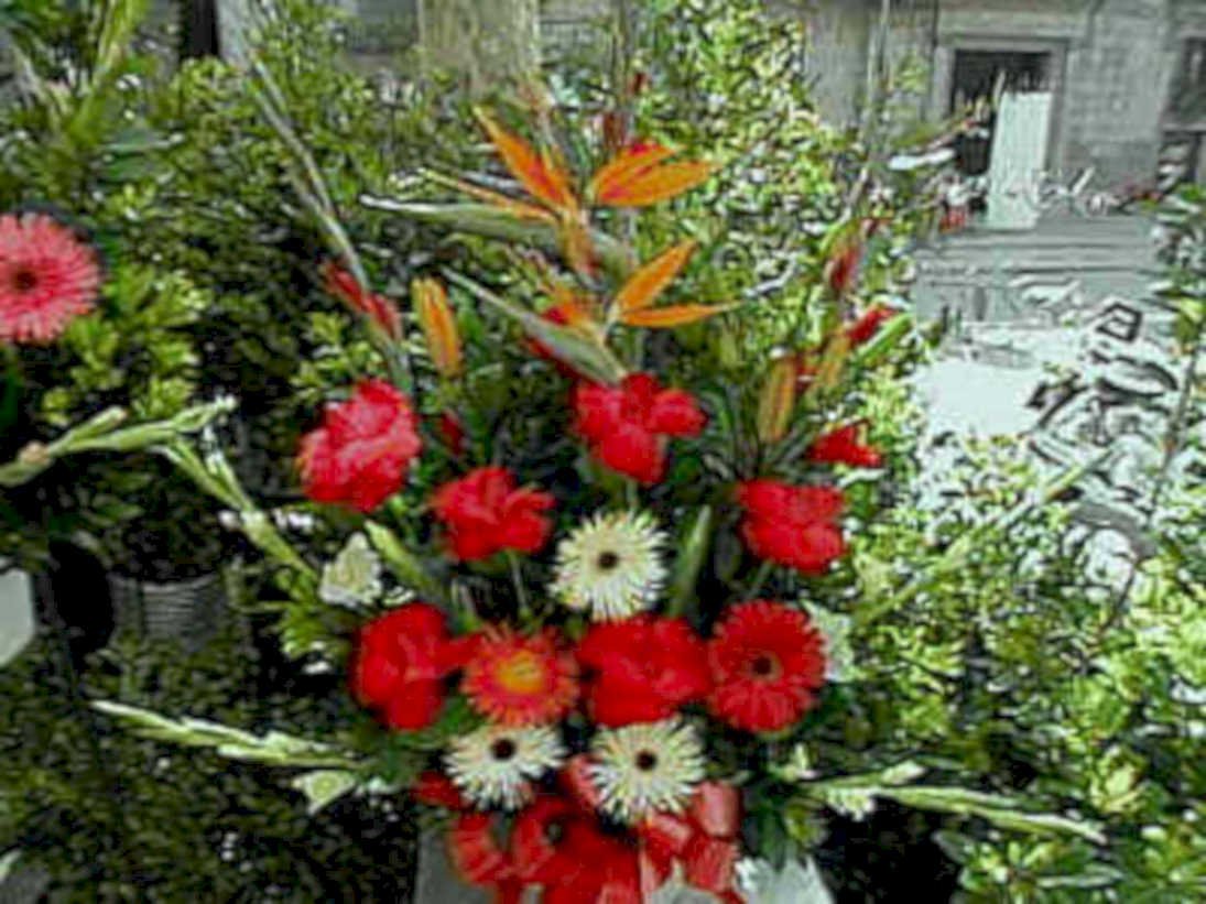 gerbera daisies bouquet1980s 1990s A4 Photo Print