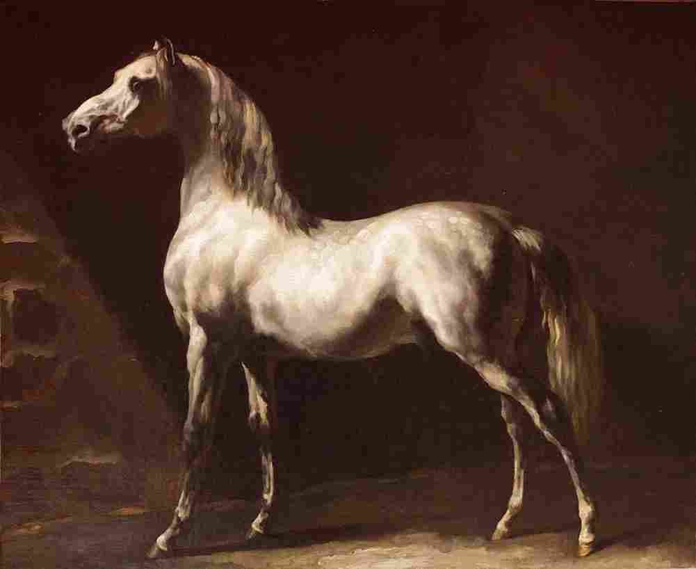 geri Arab Horse Grey White Art A4 Photo Print