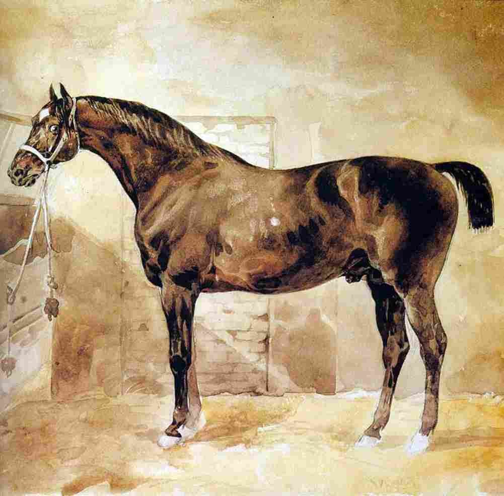 geri English Horse in Stable Art A4 Photo Print
