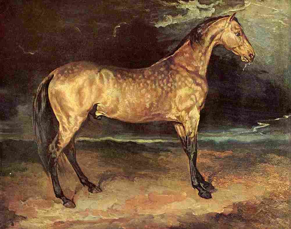 geri Horse in the Storm Art A4 Photo Print