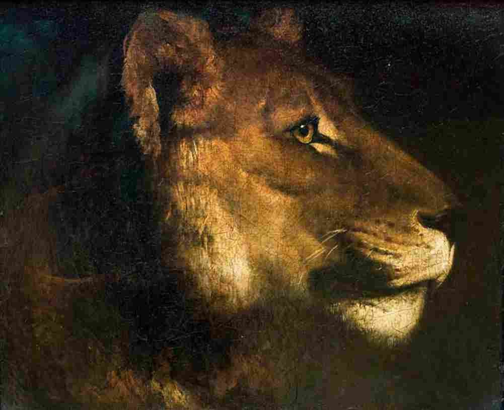 geri Lioness Head Art A4 Photo Print
