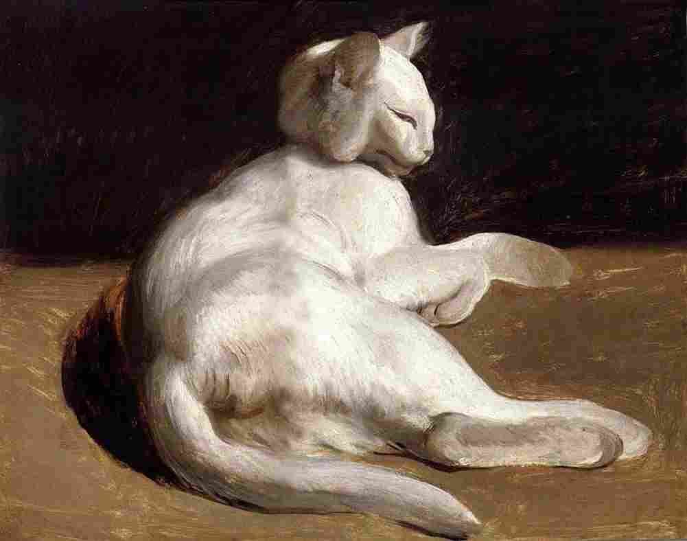 geri The White Cat Art A4 Photo Print