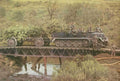 german bridge pionierpanzer Vintage world war A4 Photo Print