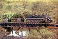 german bridge transport Vintage world war A4 Photo Print