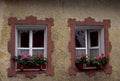 german windows geraniums 1980s 1990s A4 Photo Print