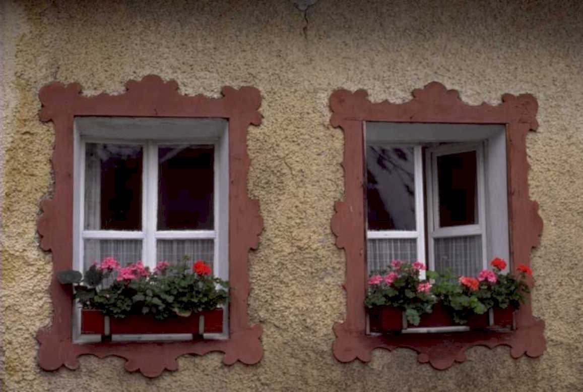german windows geraniums 1980s 1990s A4 Photo Print