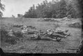 gettysburg soldiers blue Vintage world war A4 Photo Print