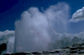 geyser eruption yellowstone 1980s 1990s A4 Photo Print